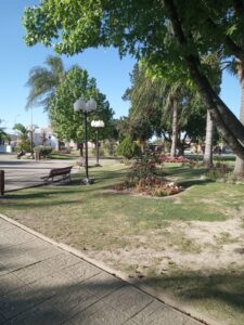 WhatsApp Image 2025-10-14 at 07.17.45 (1)