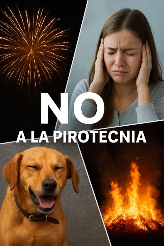 599133452_122147529572716801_3503364945581096576_n